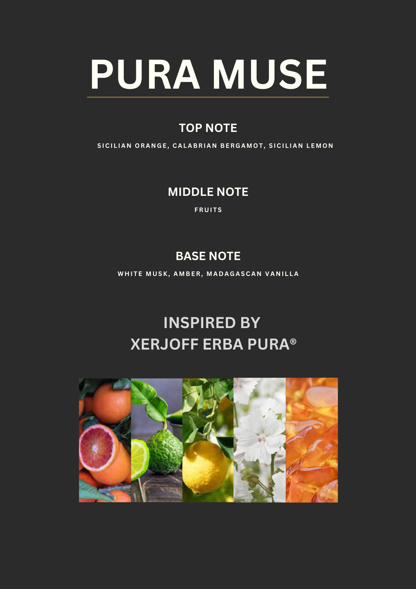 PURA MUSE - Inspired by Xerjoff's by Erba Pura®